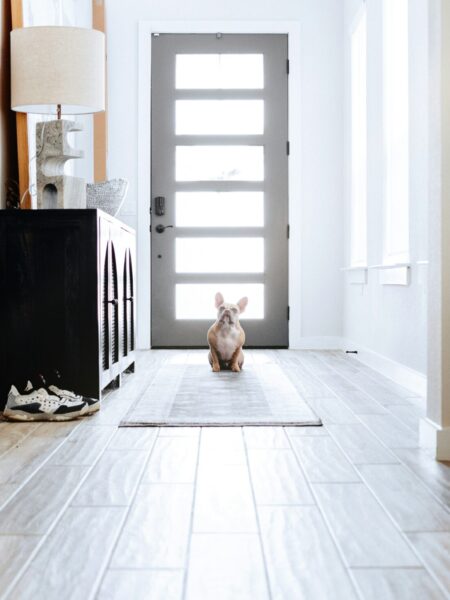 Entryway with hardwood flooring