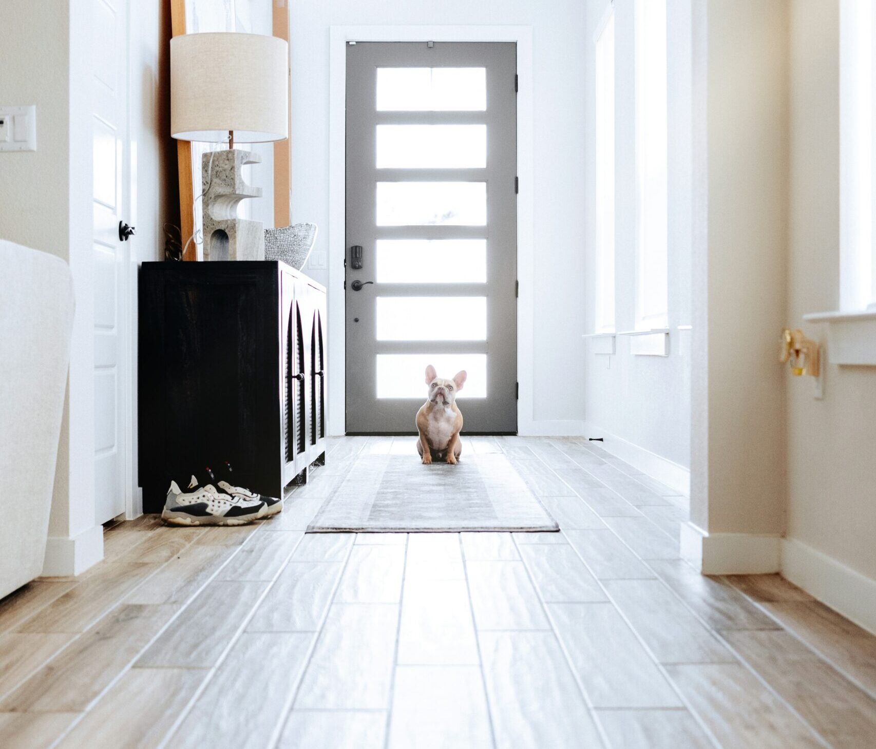 Entryway with hardwood flooring